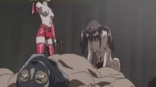 Pigeon Blood 2